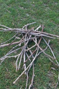 A jumble pile of sticks