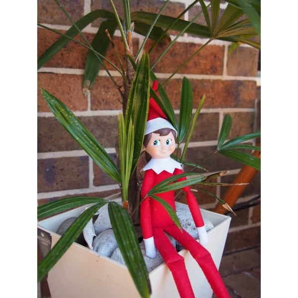 How Do You Do Elf On The Shelf? | Party Ideas in a Box